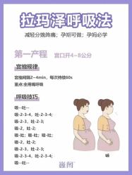 -巍阁高端月子会所