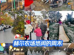 -HERRE·FARM 赫尔露营农场·团建聚会包场