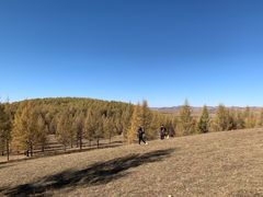 -塞罕坝国家级自然保护区