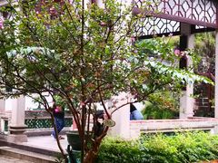 -东莞市可园博物馆