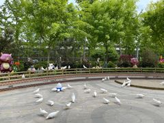 -南宫五洲植物乐园