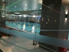 游泳池-W FITNESS 威尔仕健身·游泳(老西门新苑店)