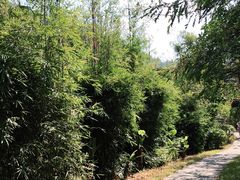 -水濂山森林公园