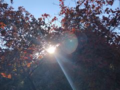 -北京西山国家森林公园