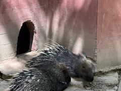 -青藏高原野生动物园