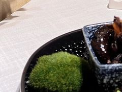 -东湖177艺术餐厅 · 东坡院子