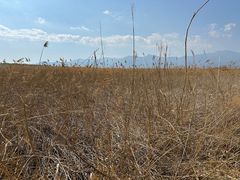 -野鸭湖国家湿地公园