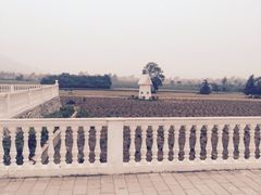 -曲江薰衣草庄园