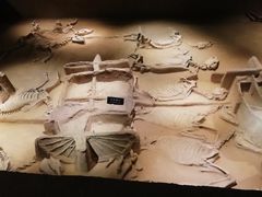 -洛阳周王城天子驾六博物馆