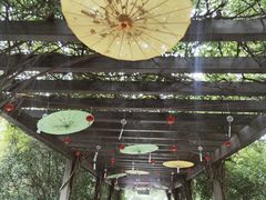 -白马涧龙池景区