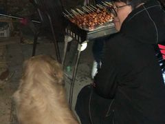-聚会山庄·派对会议团建别墅轰趴馆(中兴和园店)