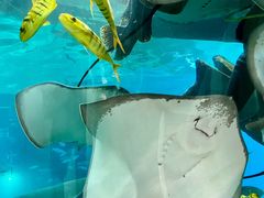 -福州罗源湾海洋世界旅游区