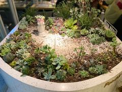 -春树下·树屋花房西餐厅(罍街AS1980店)