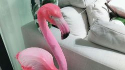 -杨丹国际美学肌研所