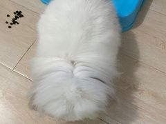 -爱派特动物医院·全科诊疗中心