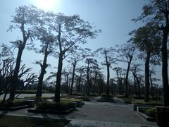 -芒洲湿地公园