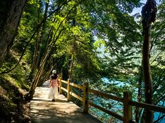 -九寨沟-树正沟