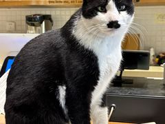 -雕刻时光·咖啡·酒吧·西餐(香山店)