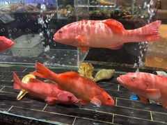 -许家菜(望江店)