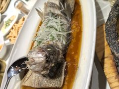 -老阿妈蒙古村·蒙古包·草原文化·歌舞表演(老君堂店)