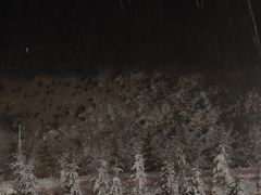 -密苑云顶乐园