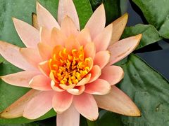 -白鹭湾湿地公园