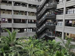 -黑龙江中医药大学附属第一医院