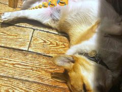 -阿木舂记·特色小吃(平江路店)