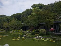 -云溪植物园