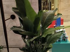 -洛阳宴·洛阳菜(南昌路店)