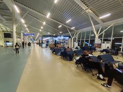 -朱利叶斯·尼雷尔国际机场