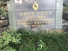 -张家港金凤凰度假村温泉