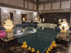 -宜春明月山维景国际温泉度假酒店