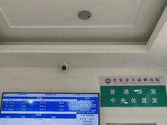 -派美特宠物医院·核磁CT·骨科肿瘤·疑难转诊(沈农禾丰店)