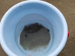 -惠州金海湾嘉华度假酒店