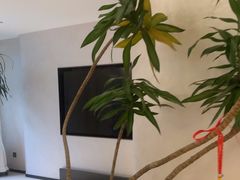 -优悦派·别墅派对轰趴馆(静安店)