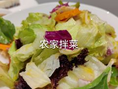 田园拌菜-燕春楼(海河华鼎店)