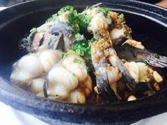 旱蒸剑齿鱼-桂客膳房·珍品堂