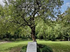 -苏州河梦清园环保主题公园