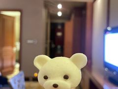 -上海浦东星河湾酒店