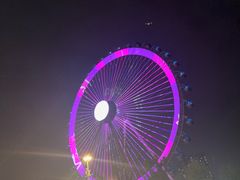 -海合安武汉极地海洋公园