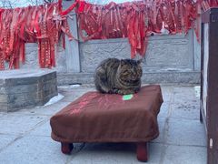 -终南山南五台景区