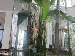 -IL Forno 意坊·意大利餐厅(花园店)