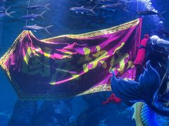 -波塞冬旅游度假区