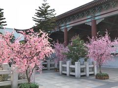 游乐设施-厦门方特梦幻王国