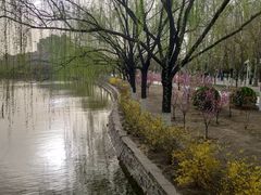 -南翠屏公园