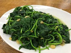 炒地瓜叶-宏记汕头白粥店(江怡店)