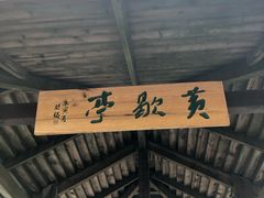 -荷塘月色湿地公园·向阳花洲
