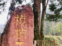 -龙苍沟森林公园