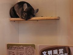 -龙猫仔乐园(惠福东路店)